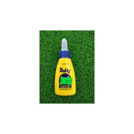 Pegamento Liquido Bully 35g